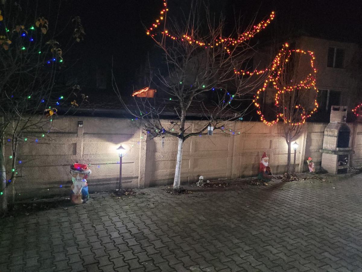 Hotel Casa Ovi Si Simo Haţeg Zewnętrze zdjęcie