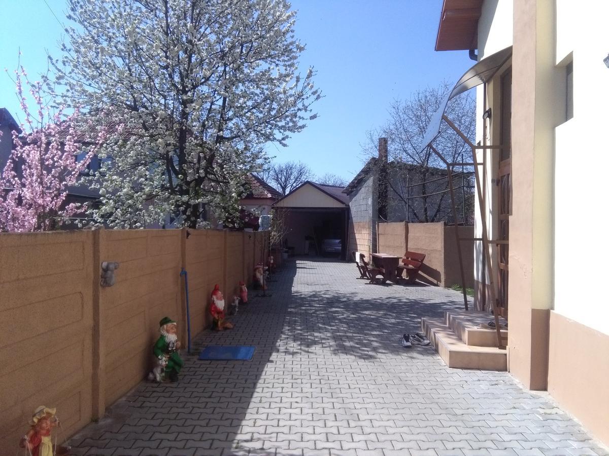 Hotel Casa Ovi Si Simo Haţeg Zewnętrze zdjęcie