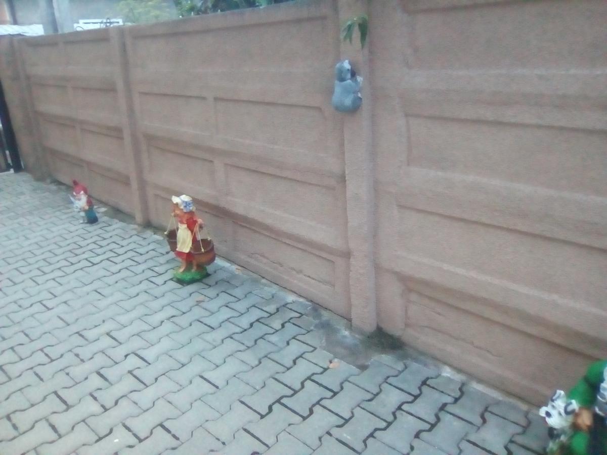 Hotel Casa Ovi Si Simo Haţeg Zewnętrze zdjęcie