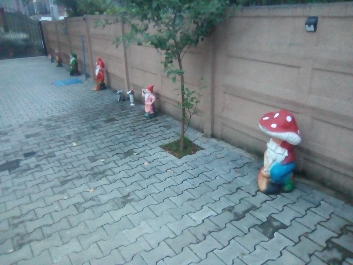 Hotel Casa Ovi Si Simo Haţeg Zewnętrze zdjęcie