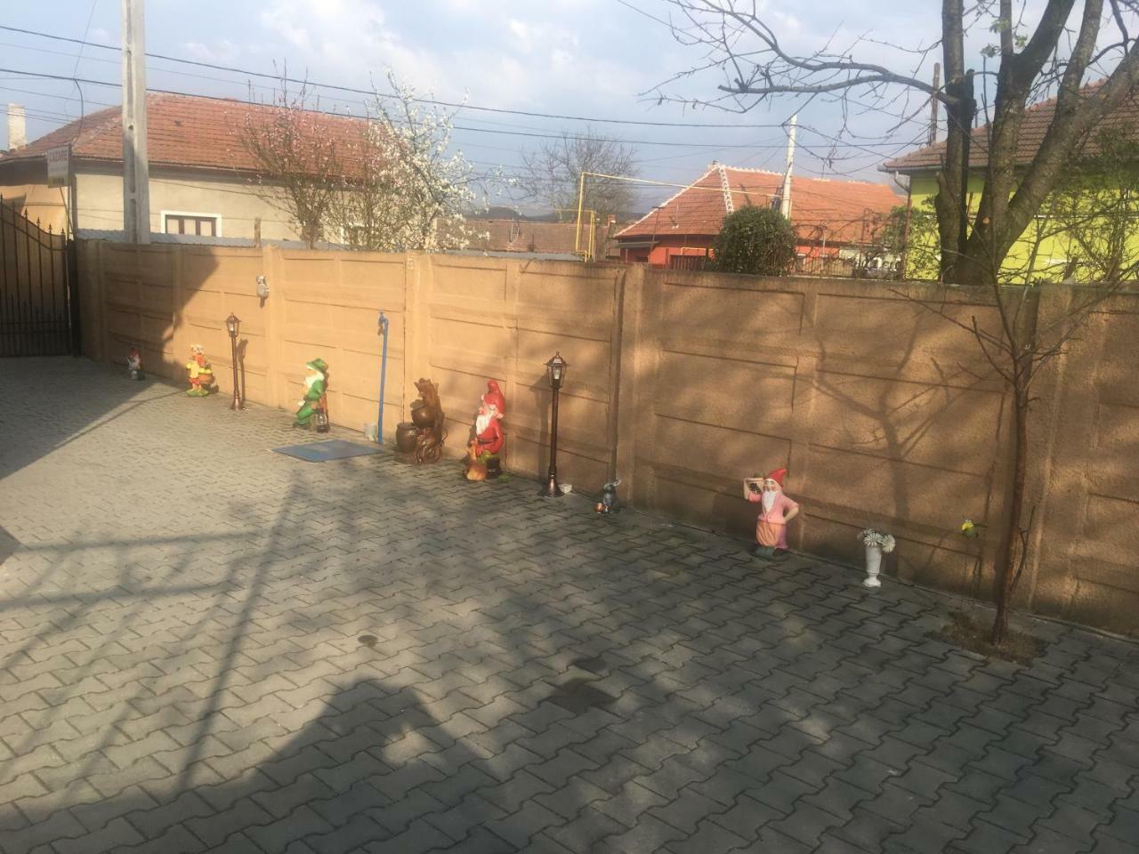 Hotel Casa Ovi Si Simo Haţeg Zewnętrze zdjęcie
