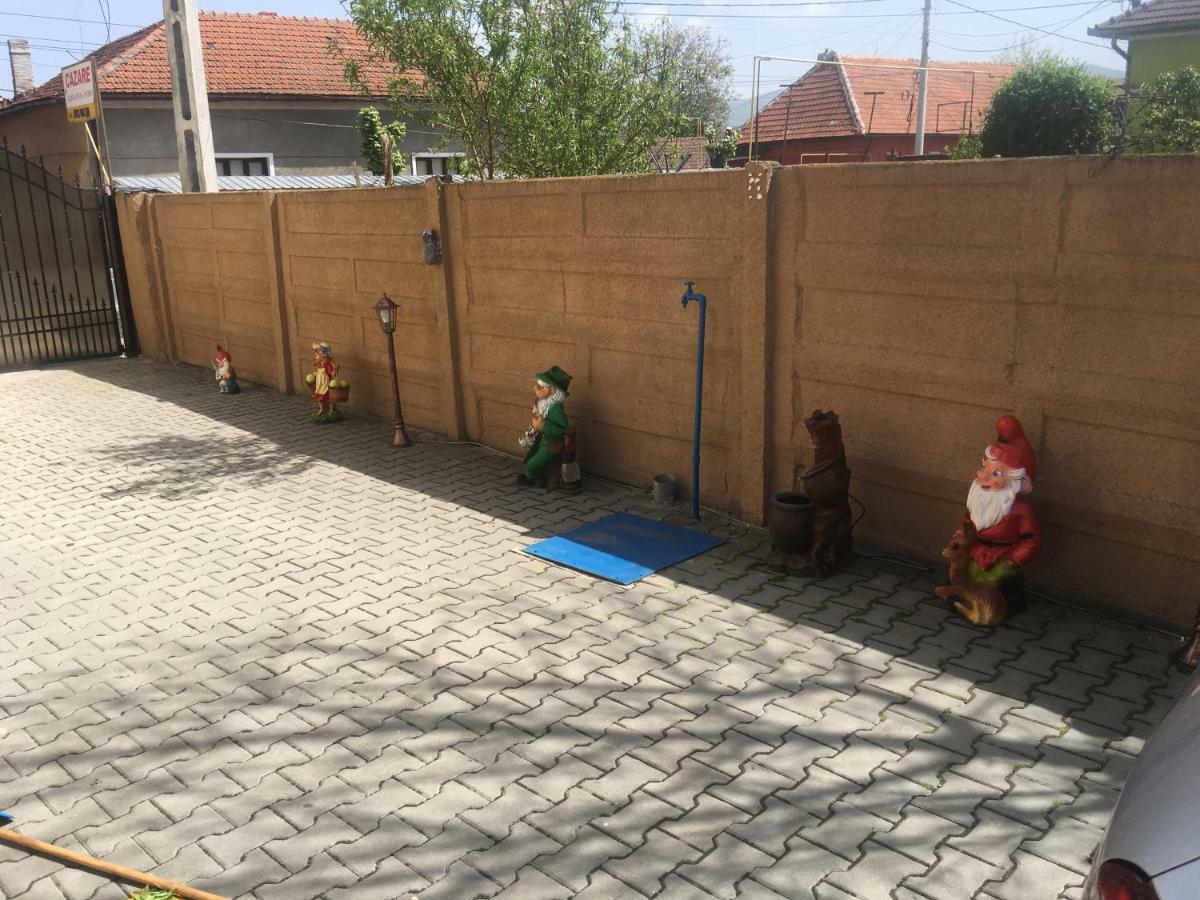Hotel Casa Ovi Si Simo Haţeg Zewnętrze zdjęcie