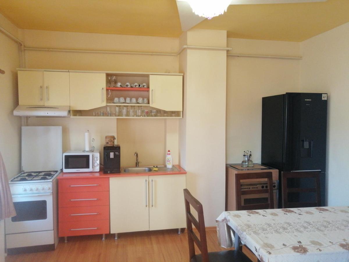Hotel Casa Ovi Si Simo Haţeg Zewnętrze zdjęcie